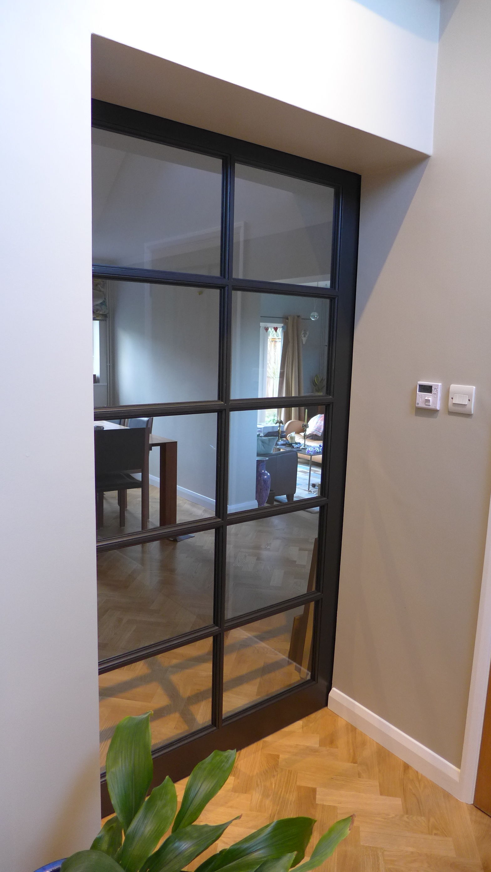 glazed pocket door